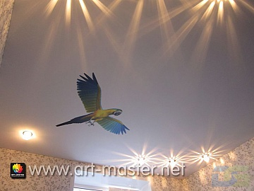 попугай на натяжном потолке